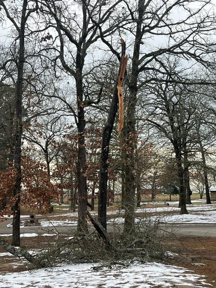 All Photos for JC Land and Tree Service in Kilgore, TX