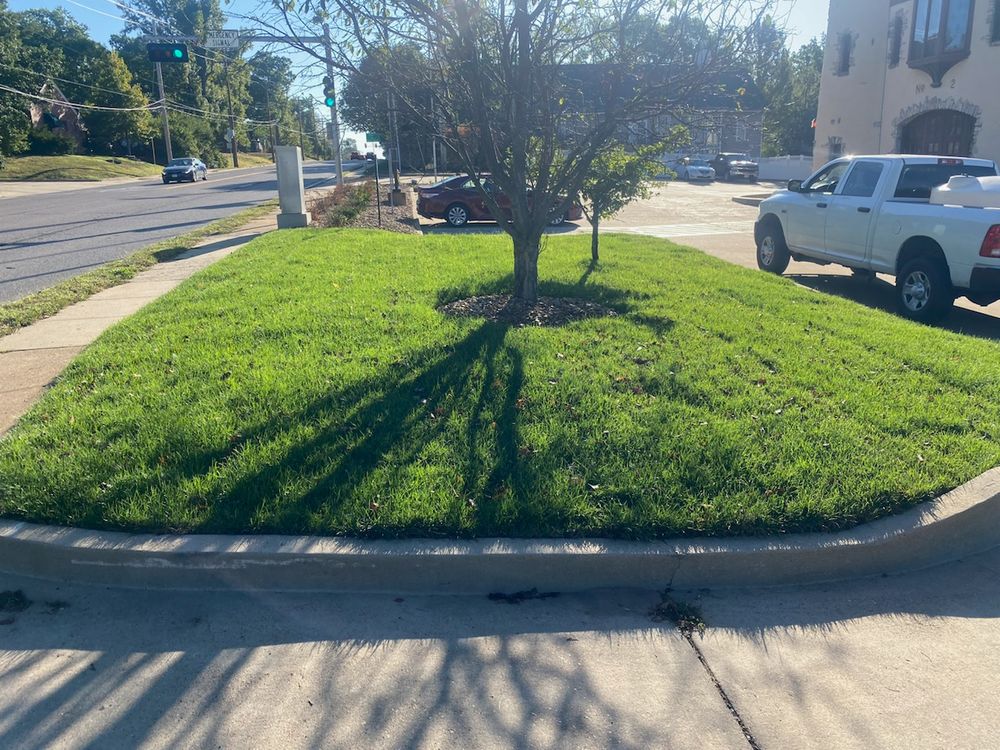 All Photos for Contemporary Landscape in St. Louis, MO