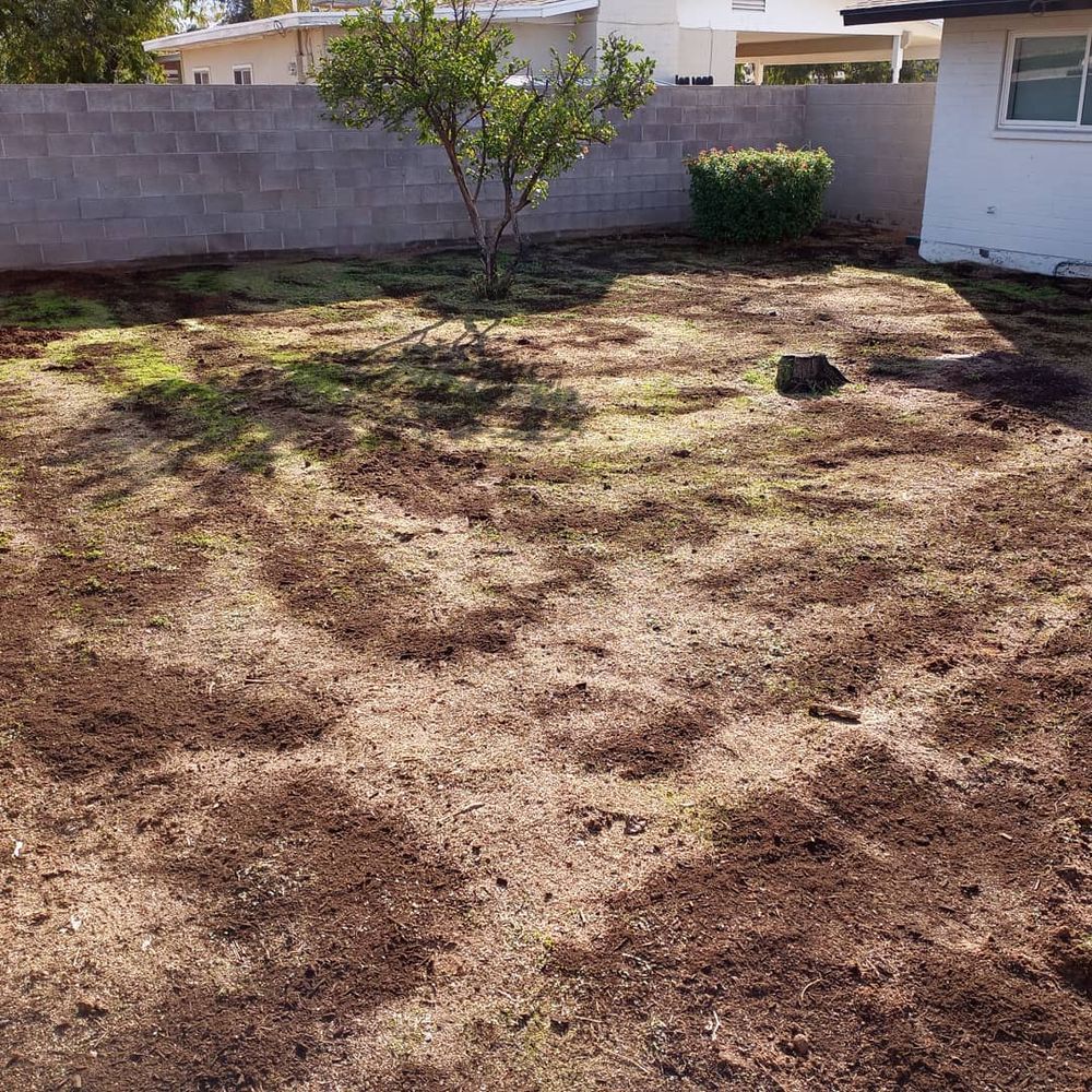 All Photos for CRAJE Landscaping LLC in Mesa, AZ