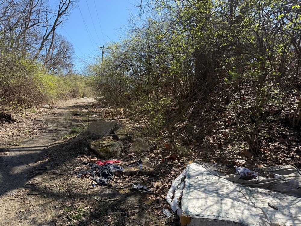 All Photos for A1 Bush Hogging & Lawn Service in London, OH