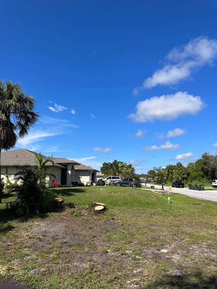 Tree Removal for MX Trees LLC in Englewood, FL