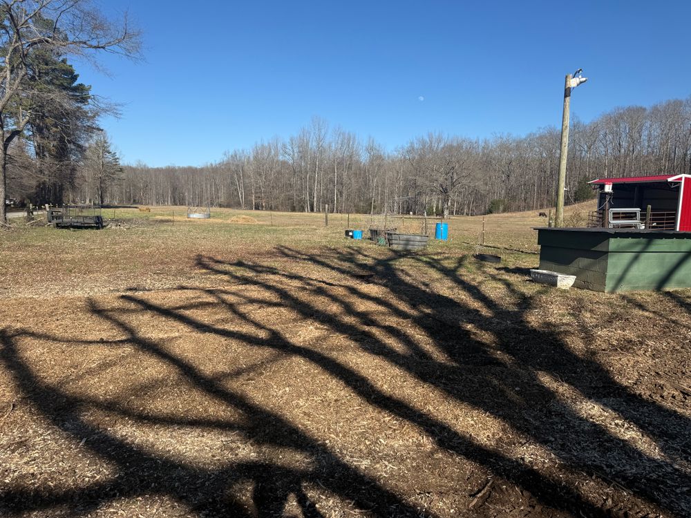 All Photos for Ross Family Tree Service LLC  in Hohenwald, TN