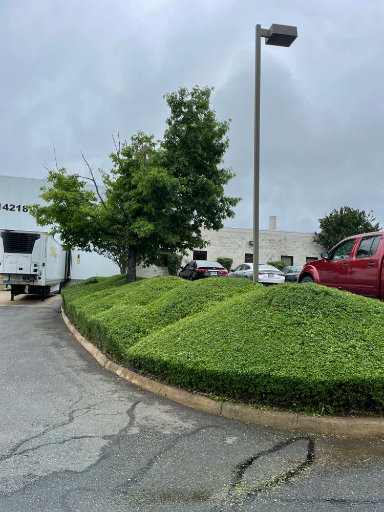 All Photos for Chiles Lawn & Landscaping in Gordonsville, VA