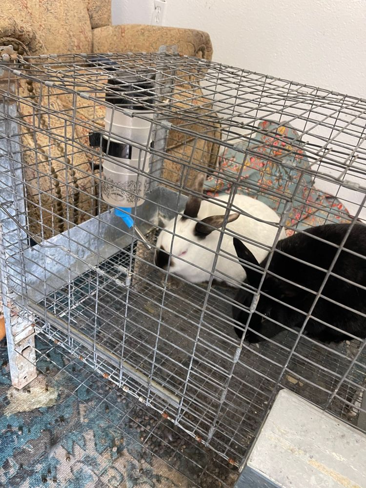 All Photos for Mr. Pipe Dreams LLC in Colorado Springs, CO