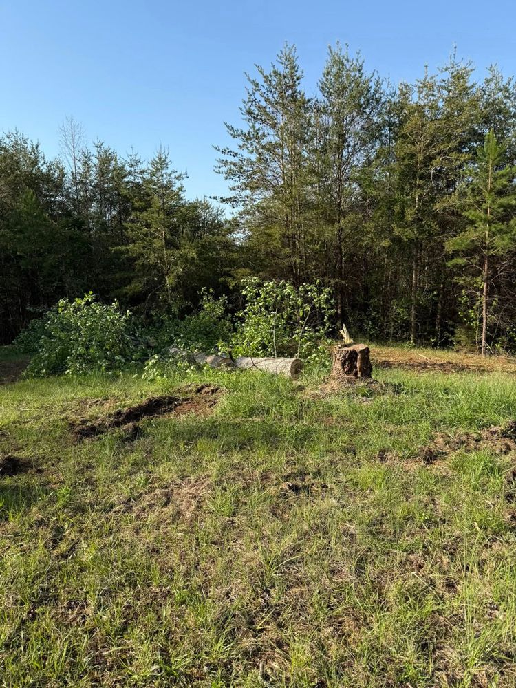 All Photos for Brooks Tree Service in Casar, NC