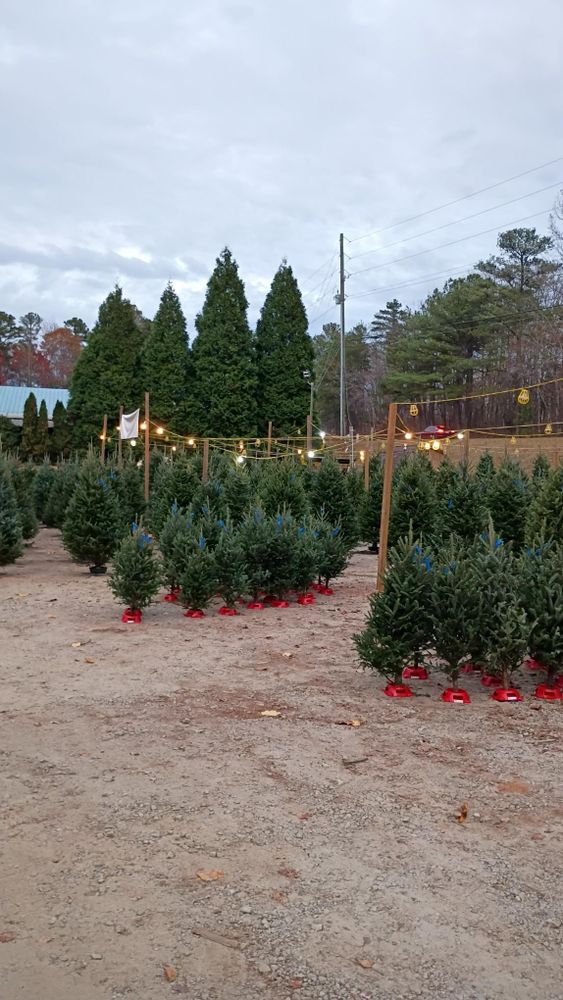 All Photos for BAM Another Pinestraw Lot in Flowery Branch, GA
