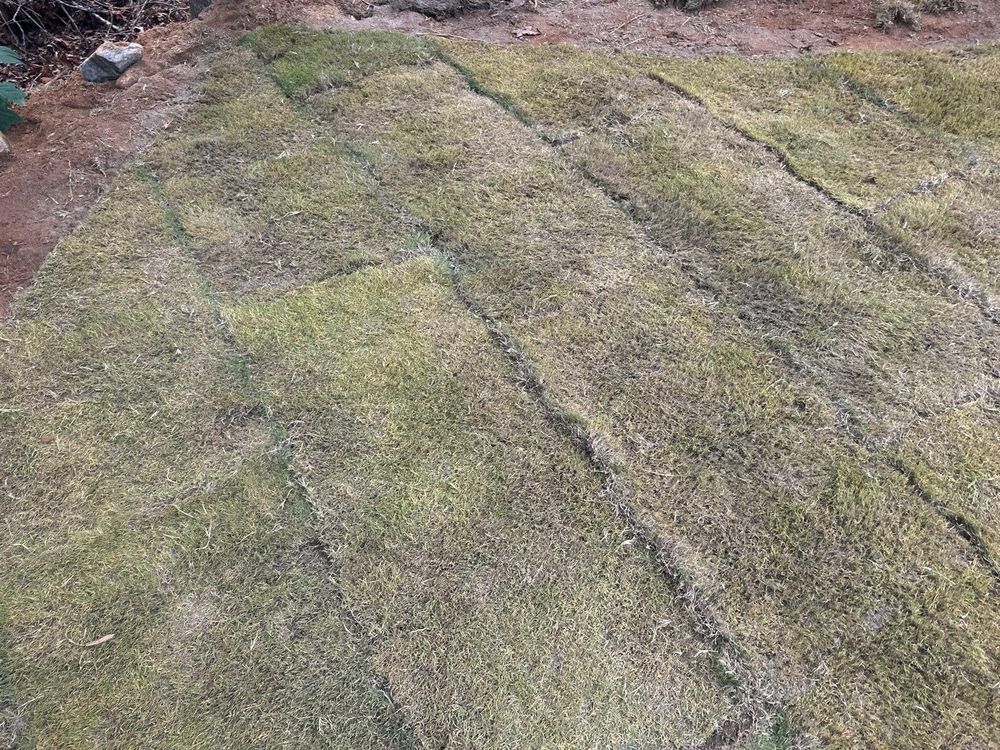 All Photos for Rescue Grading & Landscaping in Marietta, SC
