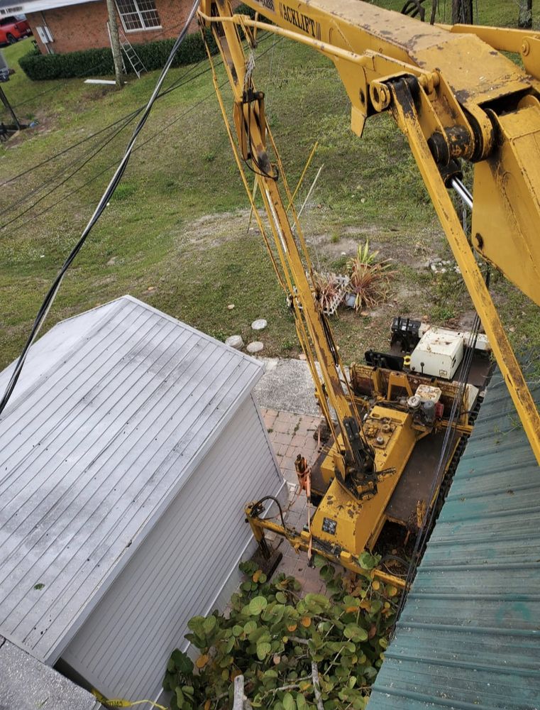 Tree Removal for Regal Tree Service and Stump Grinding in Wauchula, FL