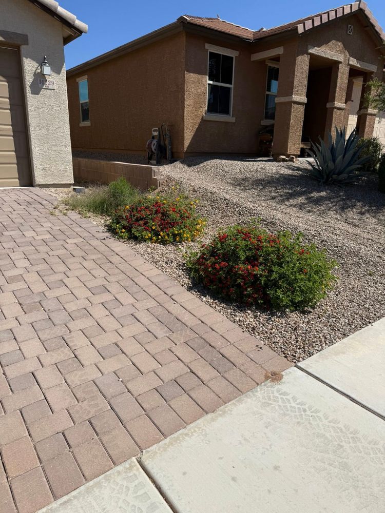 All Photos for LM Landscapes & Irrigation LLC Verified Account in Marana, AZ