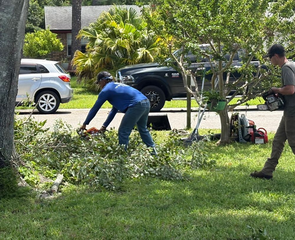 All Photos for Top Notch Tree Experts in Orange Park, FL