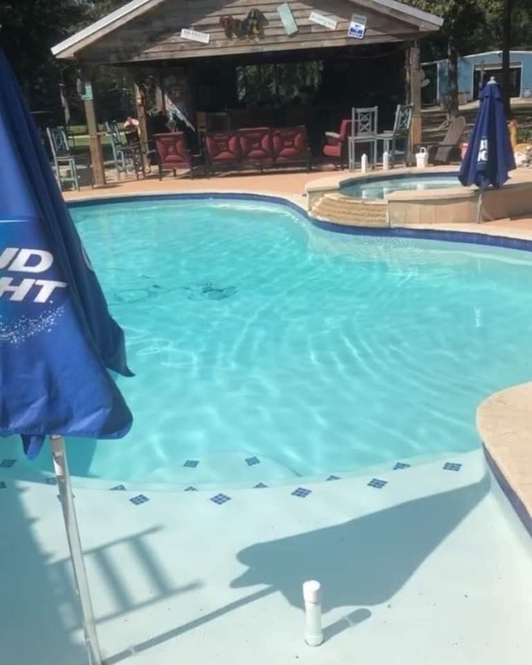 All Photos for Backyard Paradise Pools! in Splendora, TX