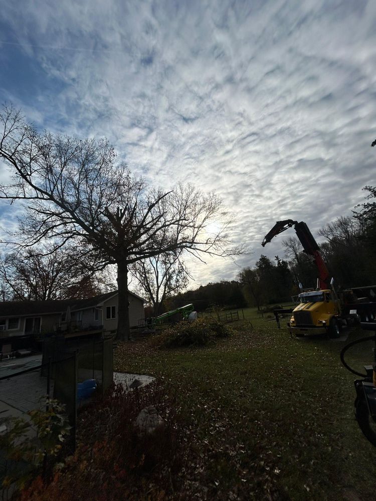 All Photos for Hingewood Tree Service in Salem, NJ