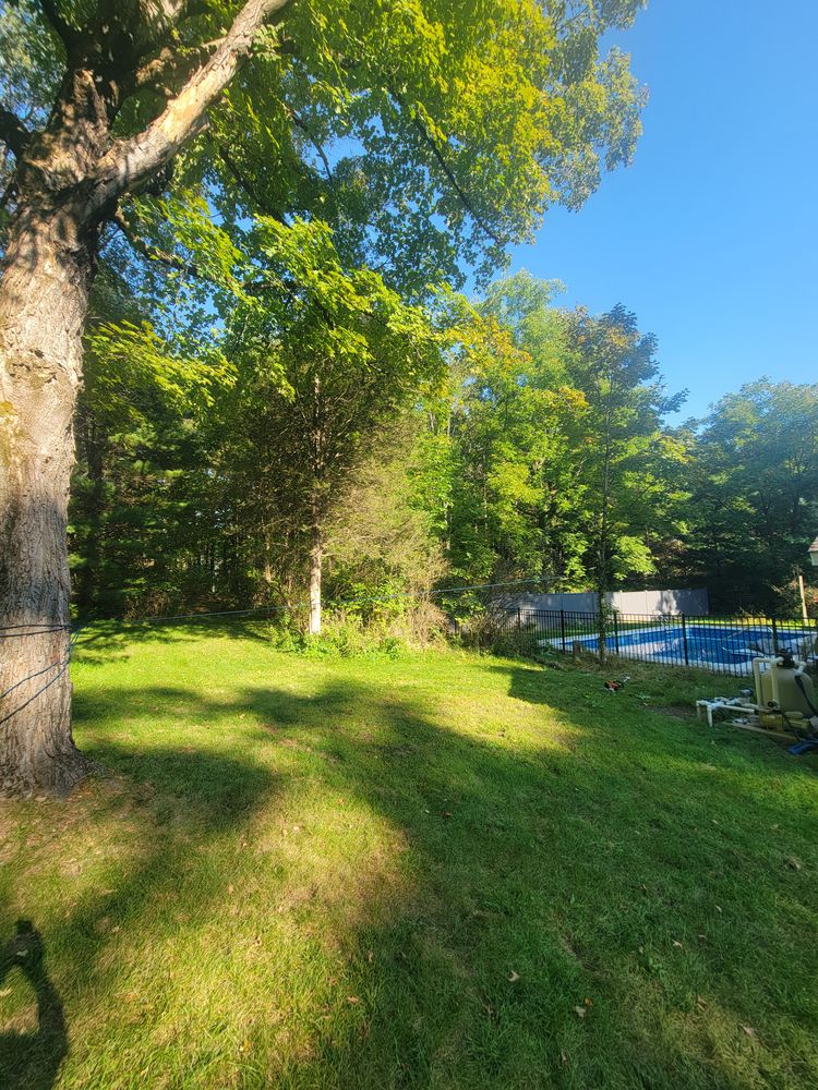 All Photos for Sweet Scapes in Ballston Spa, NY