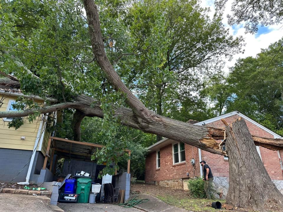 Tree Removal for Bulldawg Disaster Response in Atlanta, GA