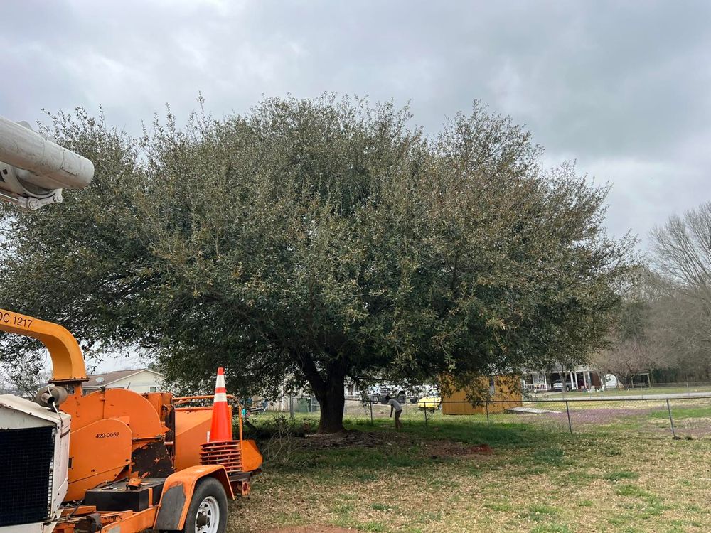 All Photos for Brooks Tree Service in Casar, NC