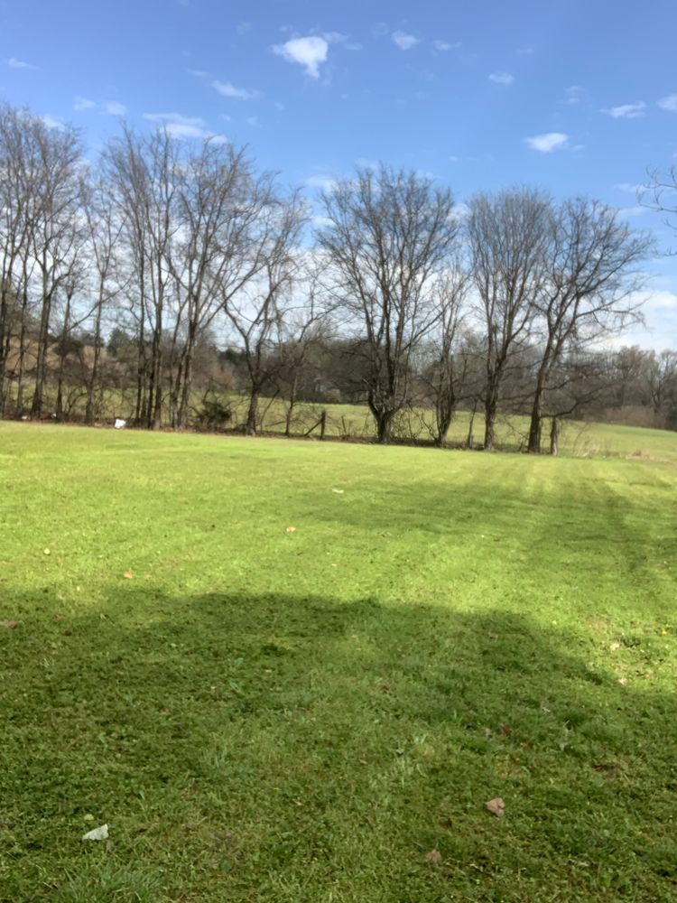 All Photos for Apex Lawn & Landscaping INC in Dyersburg, TN
