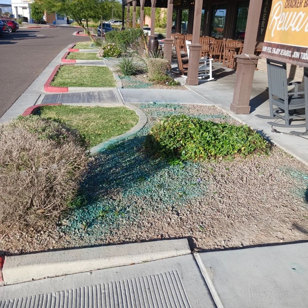 All Photos for CRAJE Landscaping LLC in Mesa, AZ