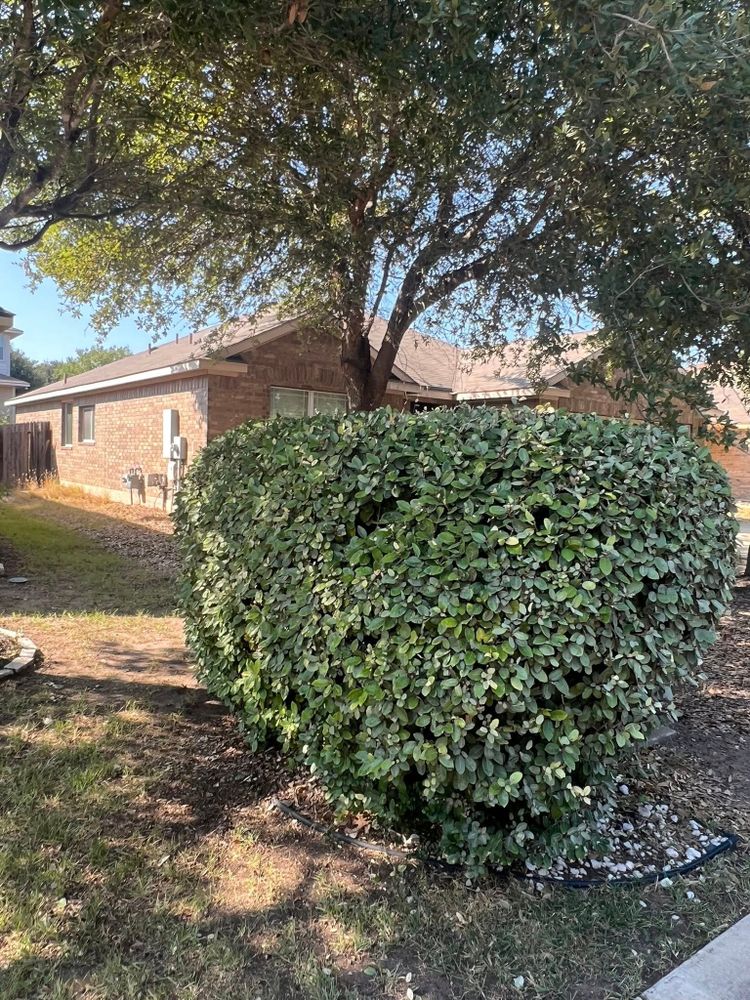 All Photos for Prosper Renovations in Kyle, TX