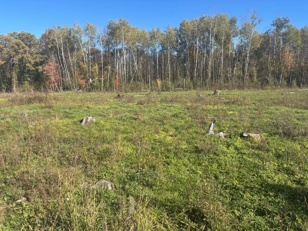 All Photos for Premier Services in New London, MN