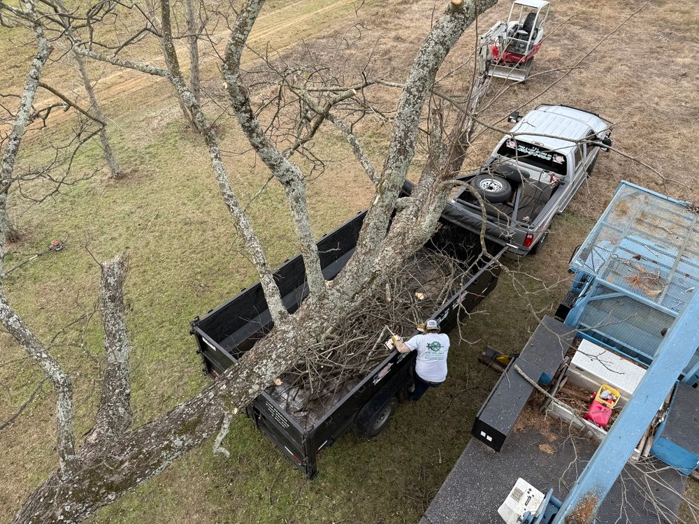 All Photos for T N L - Tree and Land Service in Reynolds, GA