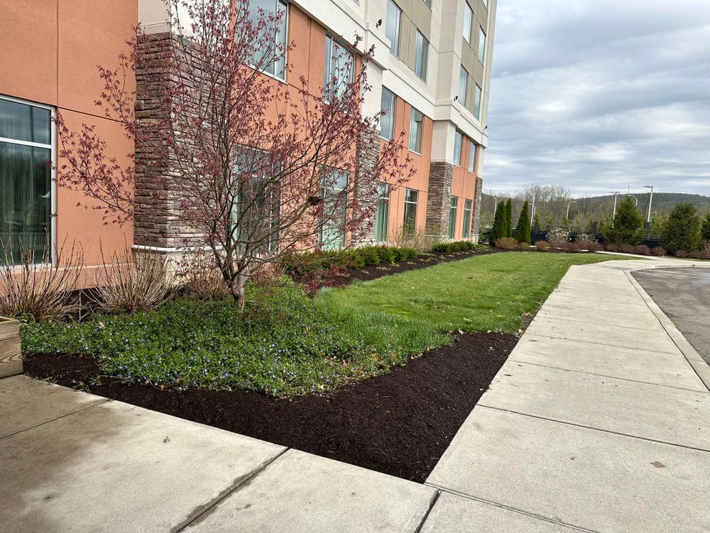 Lawn Care for Lopez Landscaping and Hardscapes in Scranton, PA