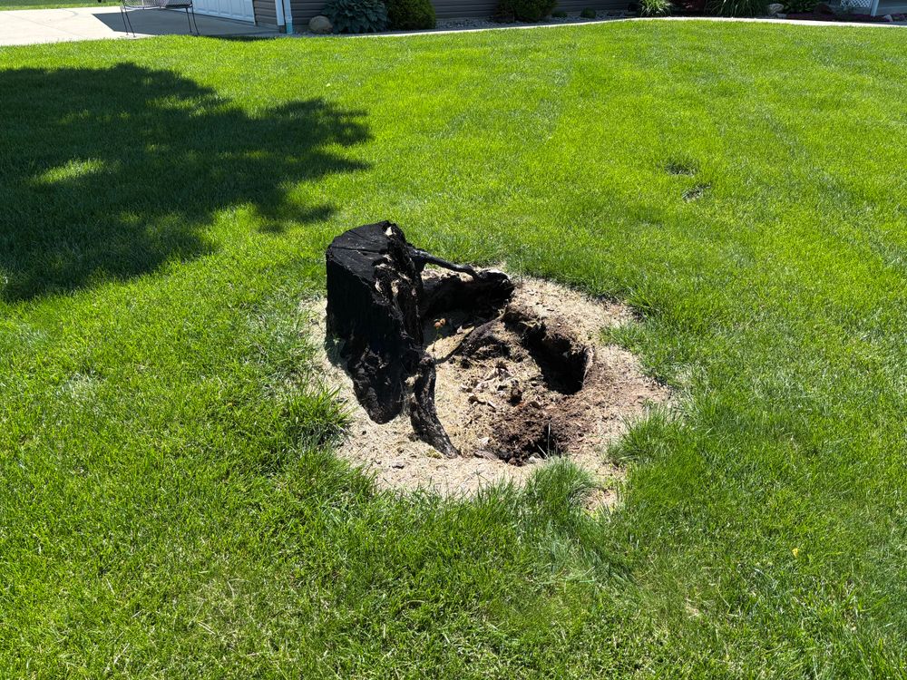 All Photos for Conrad's Stump Removal in Columbus, IN
