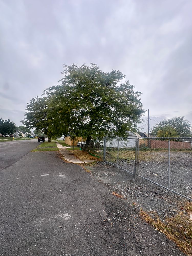 All Photos for Hauser's Complete Care INC in Lancaster, NY