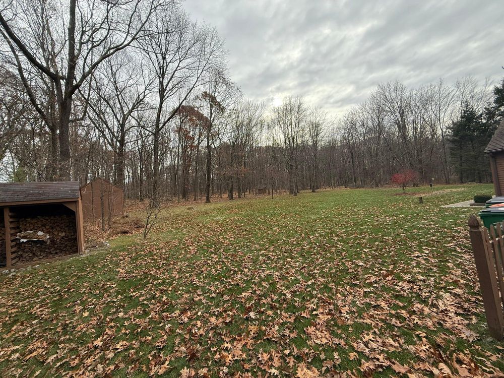 All Photos for Ardisi Property Maintenance LLC in Poughkeepsie, NY 