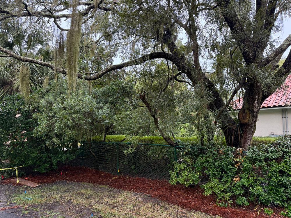 All Photos for TideCo Septic in Brunswick, GA