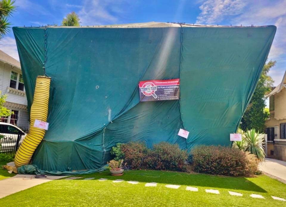 Our Termite Fumigations service effectively eliminates termites from homes, protecting your property from structural damage. Trust us to provide safe and reliable pest control solutions for a termite-free environment. for Termite Team Company in Los Angeles, CA