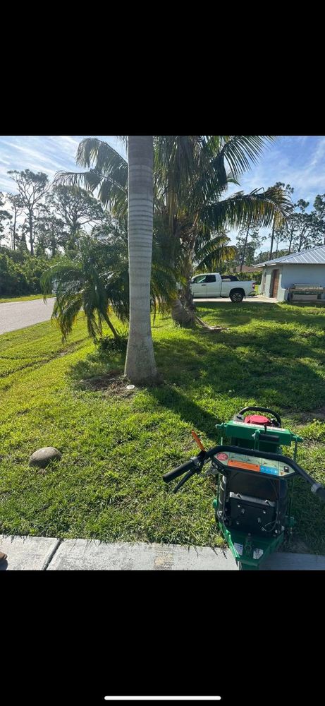 Tree Removal for MX Trees LLC in Englewood, FL