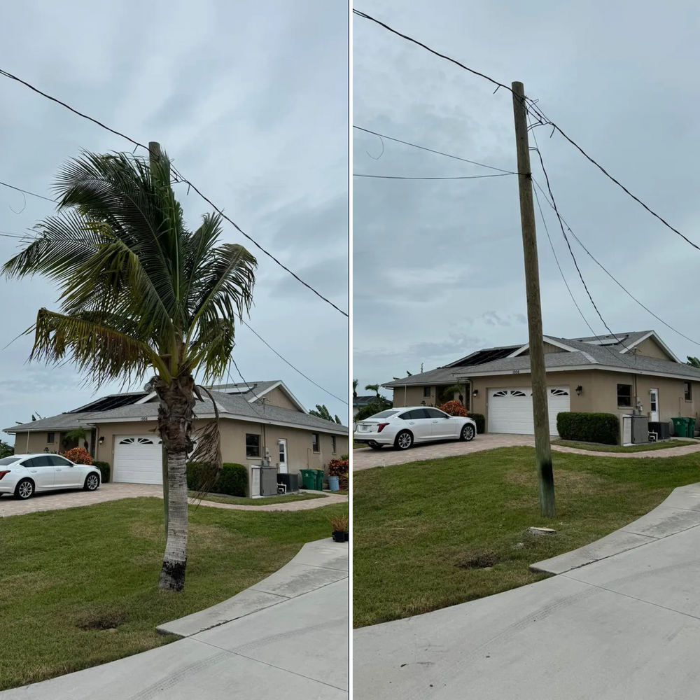 All Photos for Lemon Bay Tree Service  in Englewood, FL