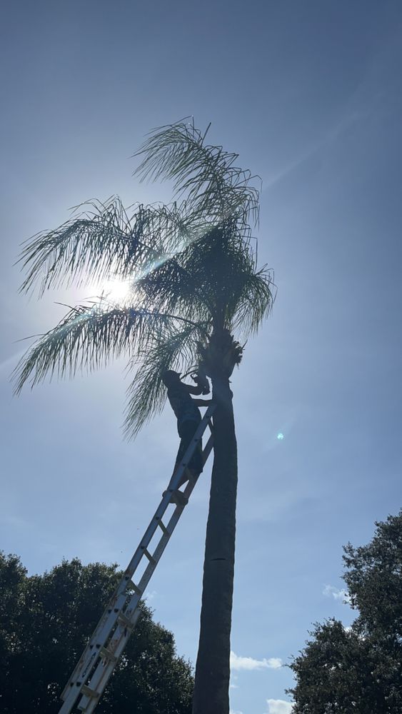 All Photos for Space Coast Property Maintenance and Management LLC in Melbourne, FL