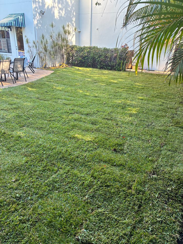 All Photos for Gulf Bay Sod in Clearwater, FL