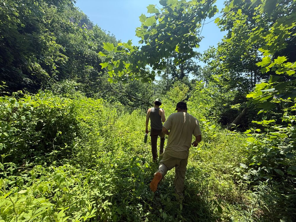 All Photos for Elias Grading and Hauling in Black Mountain, NC