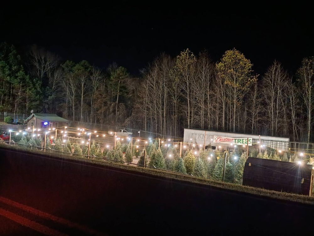 All Photos for BAM Another Pinestraw Lot in Flowery Branch, GA