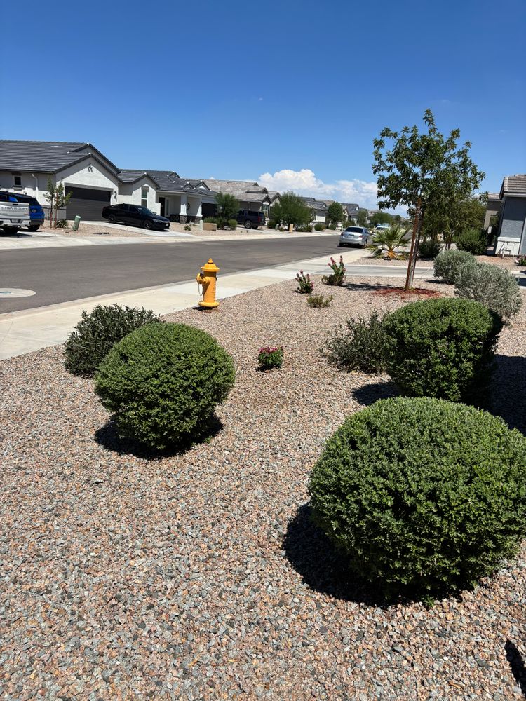 All Photos for Good Hands Landscape in Maricopa, AZ