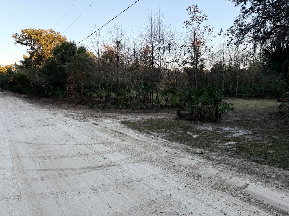 All Photos for Amerigrown Tree And Lawn in Apopka, FL