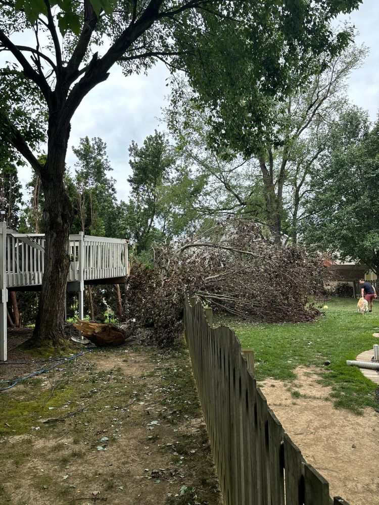 All Photos for JJ Tree Service in Gibsonia, PA