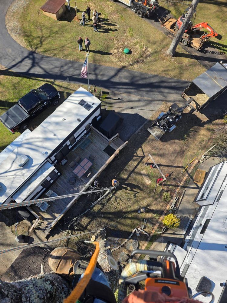 All Photos for Bobcat Bob in Clermont, GA