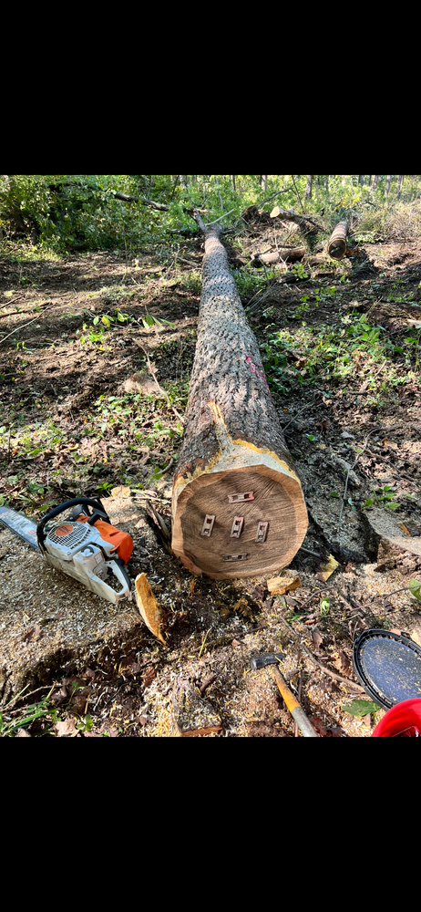 All Photos for Kadin’s Tree Service in North Vernon, IN