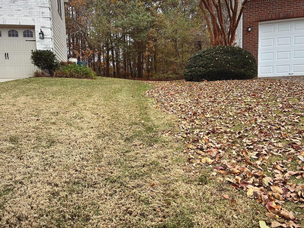 All Photos for Circle One Landscaping in Alpharetta, GA