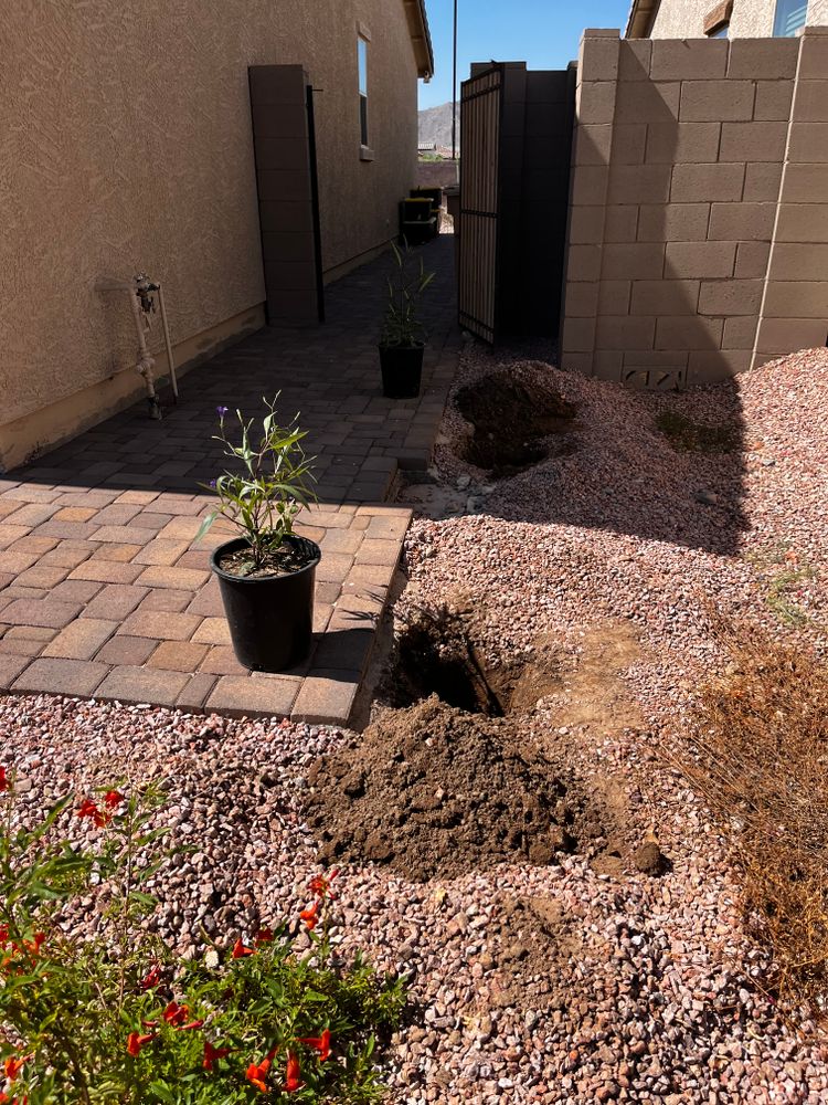 All Photos for AZ Tree & Hardscape Co in Surprise, AZ