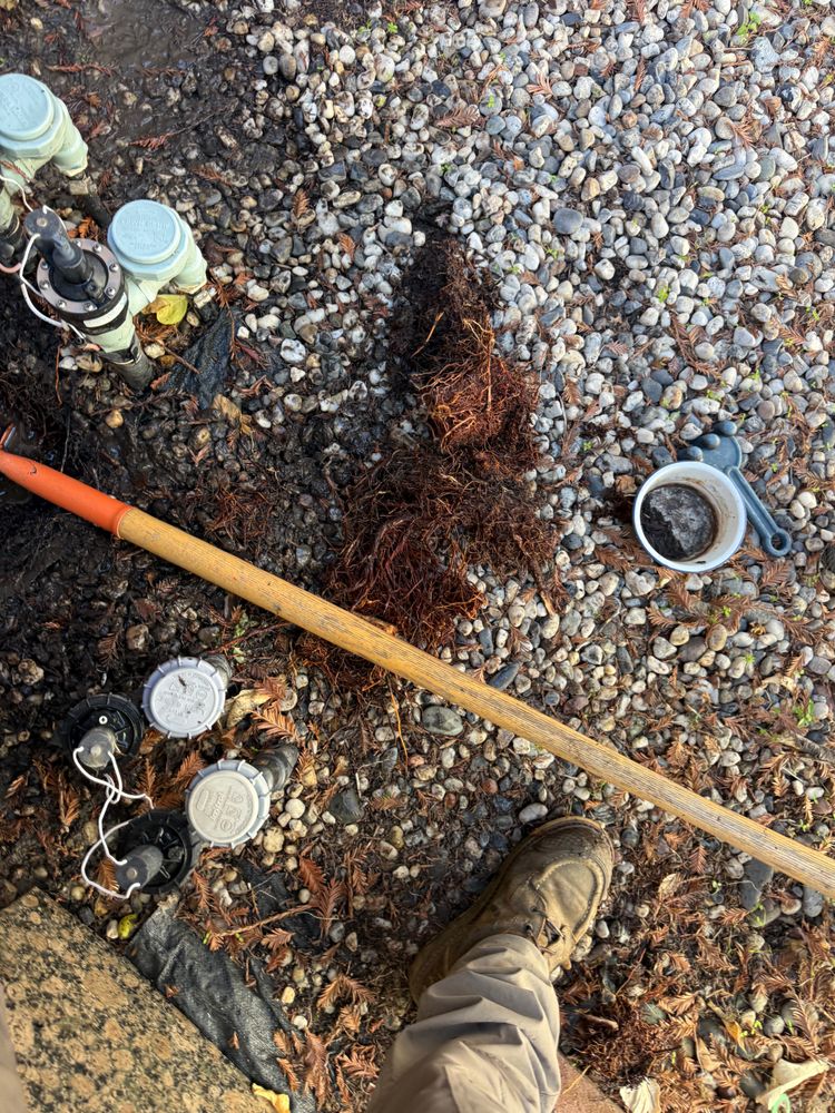 All Photos for CBA Landscaping in Hayward, CA