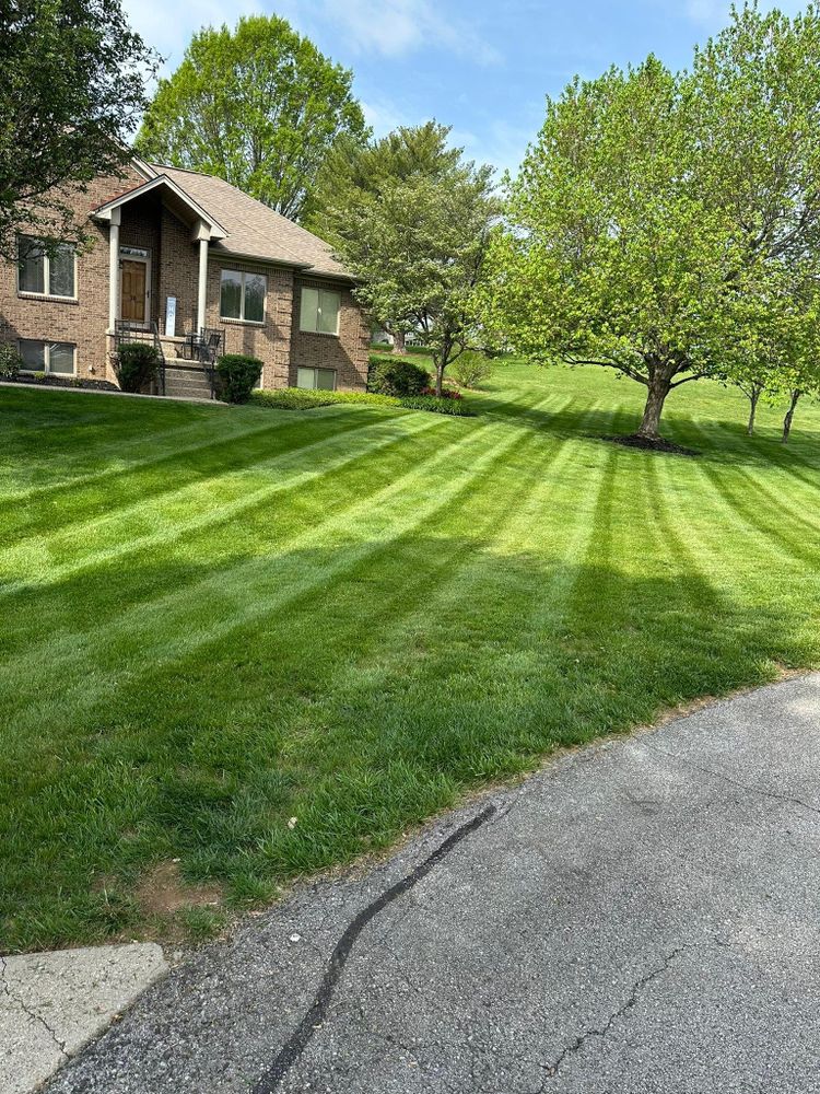 All Photos for JKL Lawn Service in Frankfort, KY