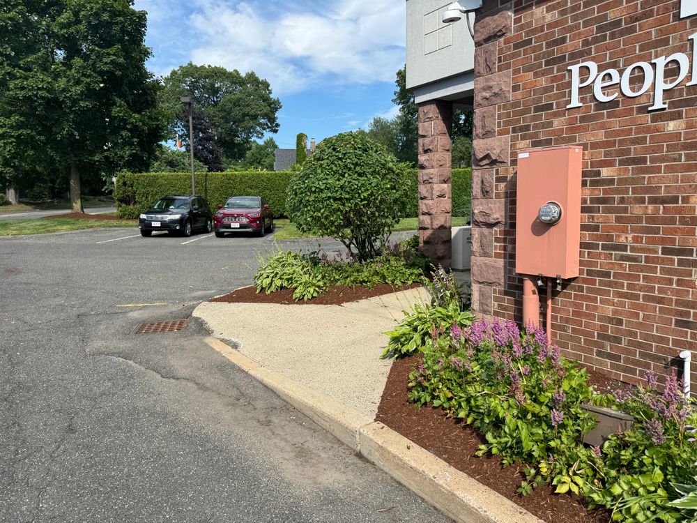 All Photos for Adams Landscaping in Springfield, MA