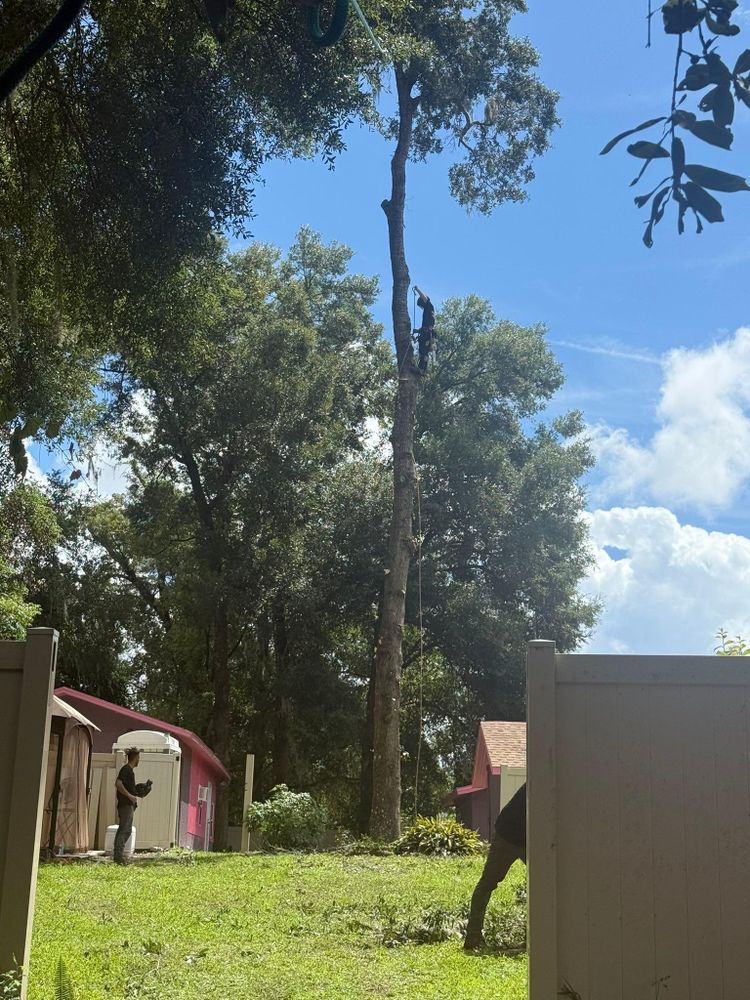 All Photos for McGraw’s Lawn and Tree Service in DeLand, FL