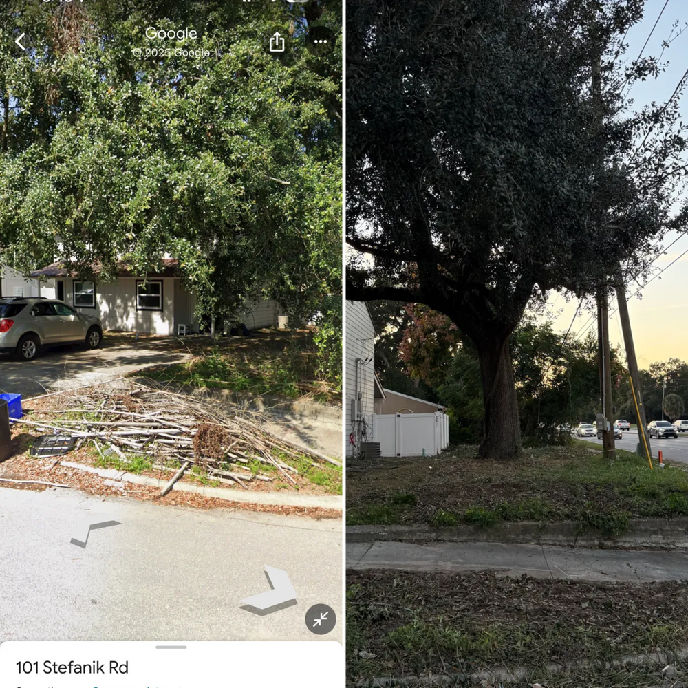 All Photos for Amerigrown Tree And Lawn in Apopka, FL