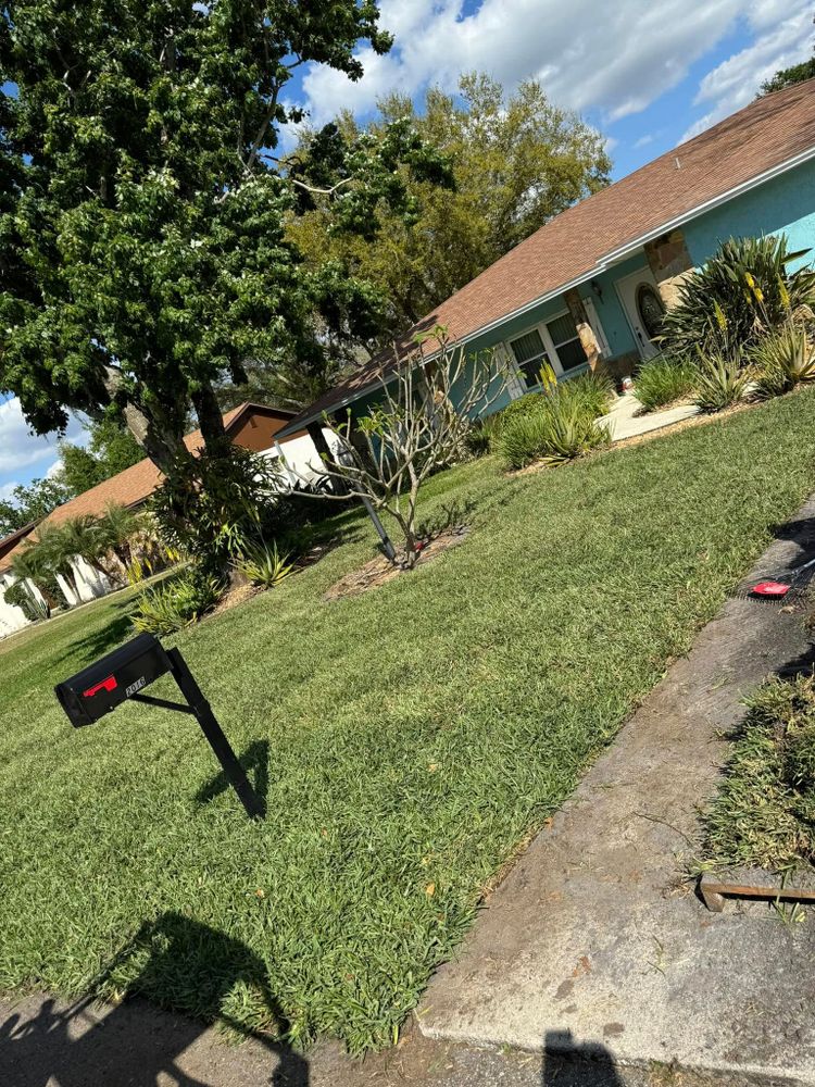 Lawn Maintenance for Duck's Lawn & Tree Service, LLC. in Lakeland, FL