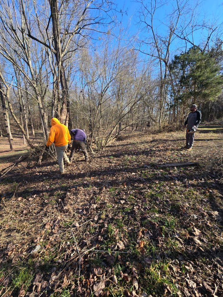 All Photos for Optimum Tree Service And Landscaping in Bowling Green, KY